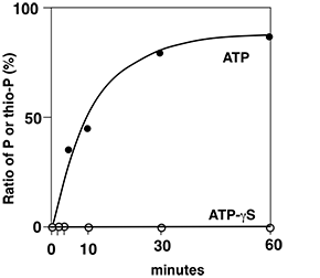 histone H1 graph